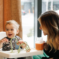 Jouet à Ventouse - Fougère