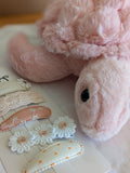 Coffret cadeau naissance - Tortue