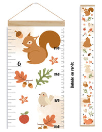 Échelle de croissance - Balade en forêt