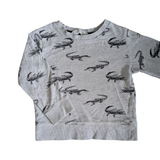 Chandail manche longue H&M - 3T