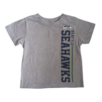 T shirt - 2T
