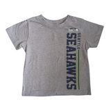 T shirt - 2T