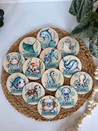 Ensemble de pastilles de mois bébé – Bois et impression couleur
