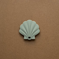 Coquillage de dentition