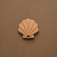 Coquillage de dentition